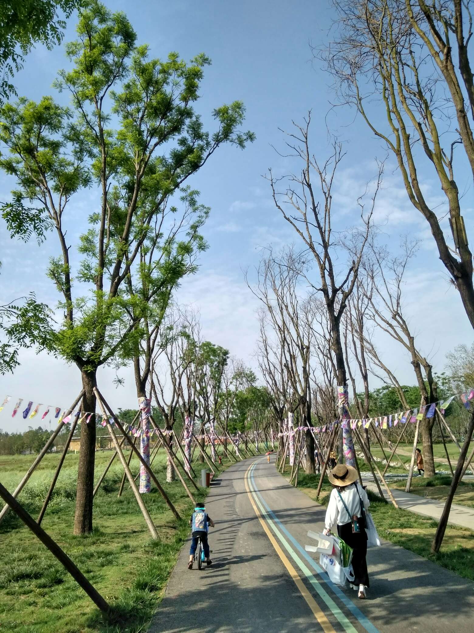 遛娃好去处～江家艺苑-旅游自驾-成都吃喝玩乐网_成都论坛_成都门户