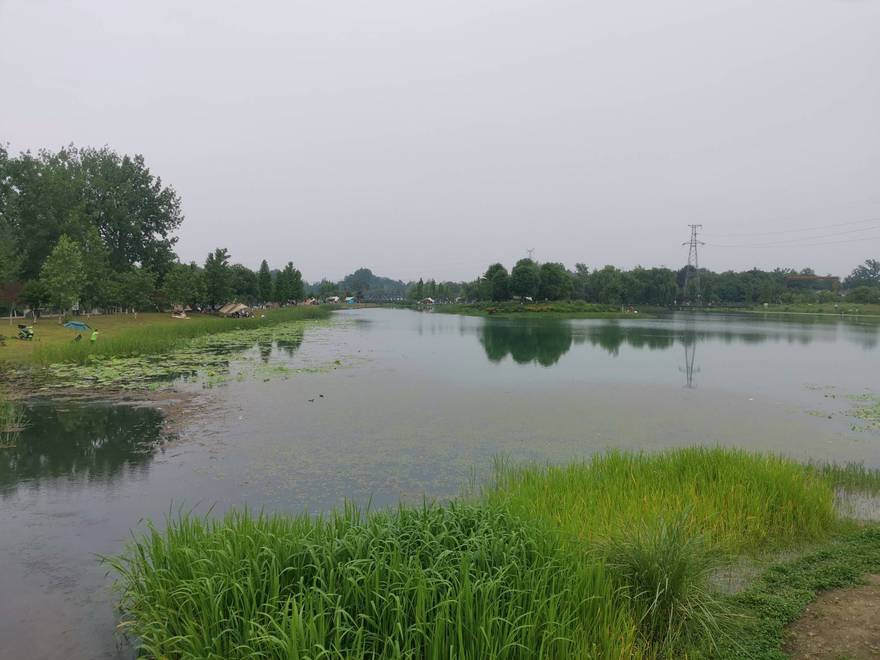 发现个露营宝藏地