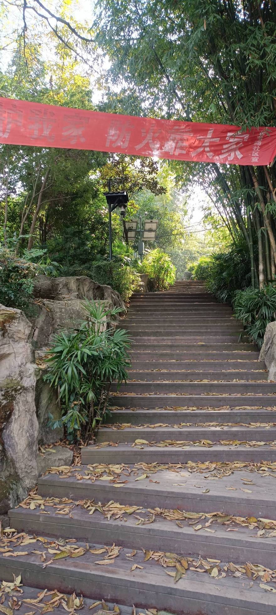 龙泉仰天窝健身步道，钟家山森林绿道