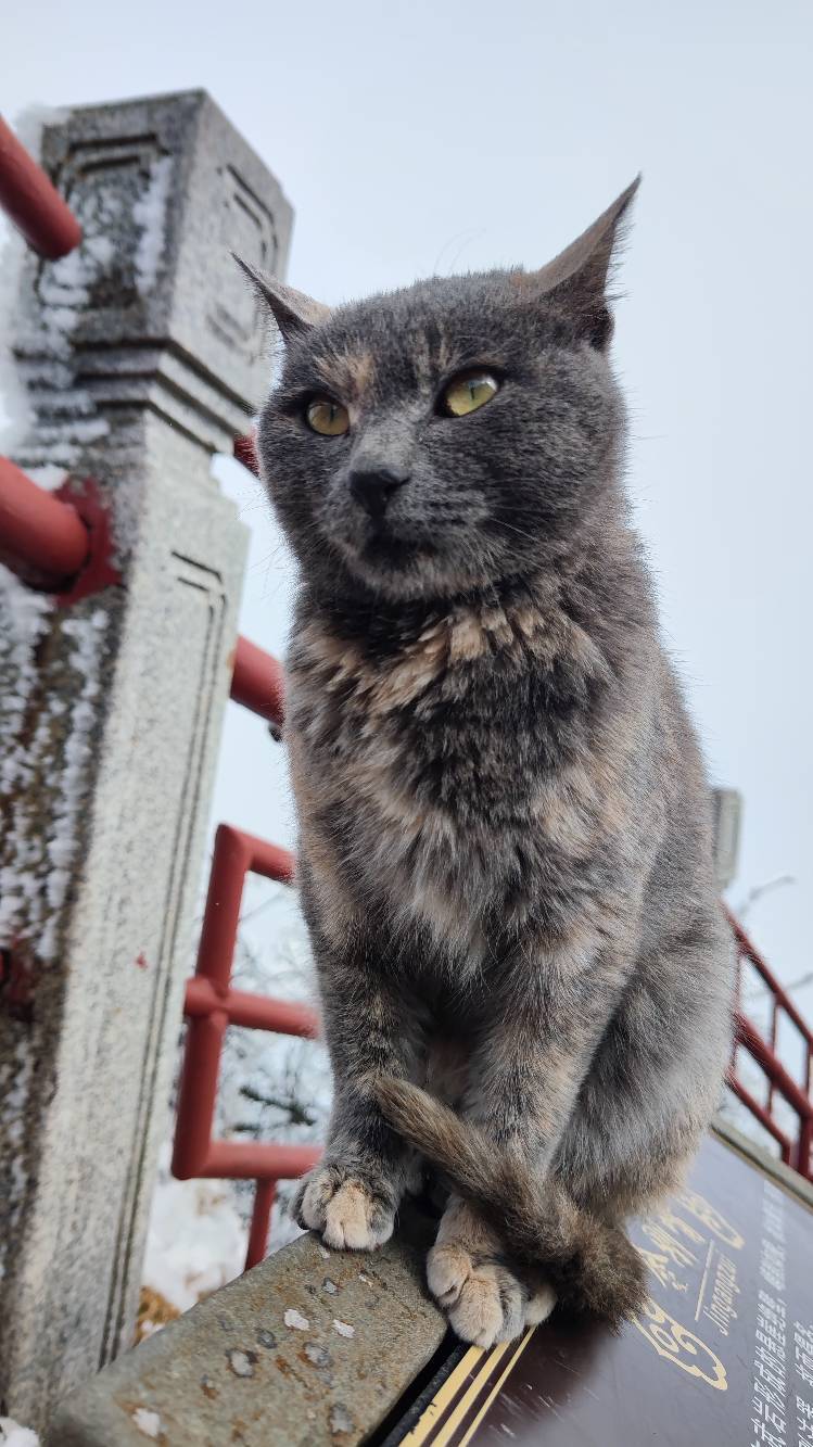 雪中峨眉行，多图。