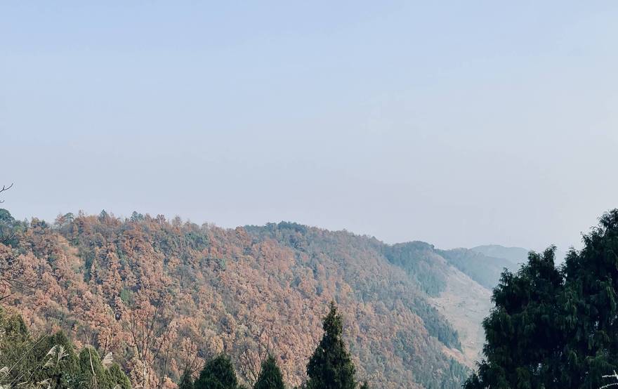 龙泉山也有红叶