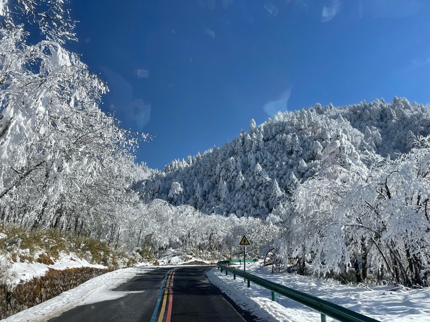 分享个天全喇叭河攻略，一路上都是猴子，带娃儿耍雪阔以