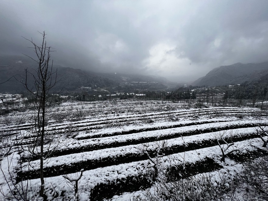彭州耍雪，将个烂就！