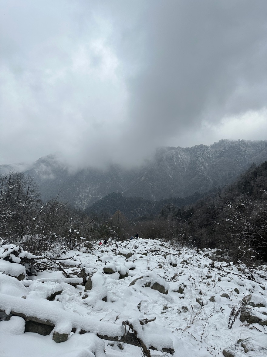 推荐个看雪的地方，汶川黄草坪，不违规出些杂物