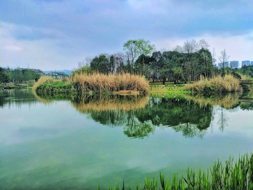 游 洛水湿地公园