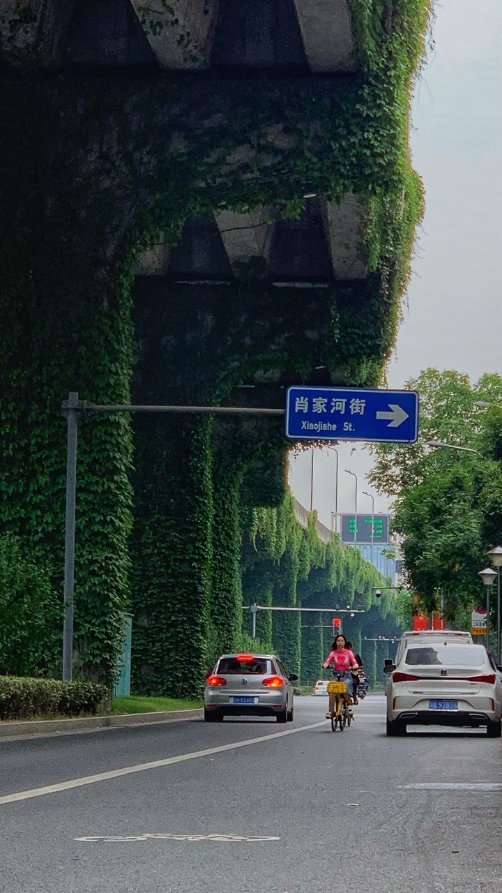 2023.05.24 用脚步丈量成都 走完成都二环一圈29.5公里