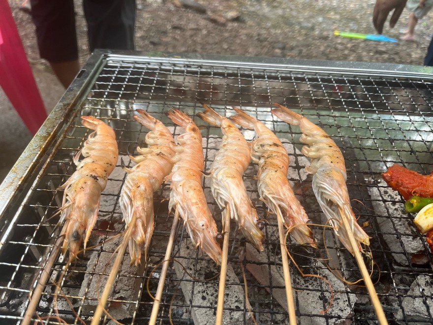 端午三日游