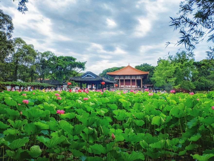 夏日 ~ 望丛祠