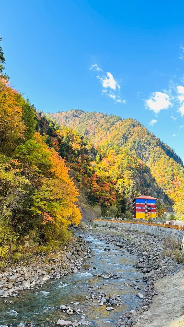 几十公里的红叶，全免费，露营都不收费！地址内详！