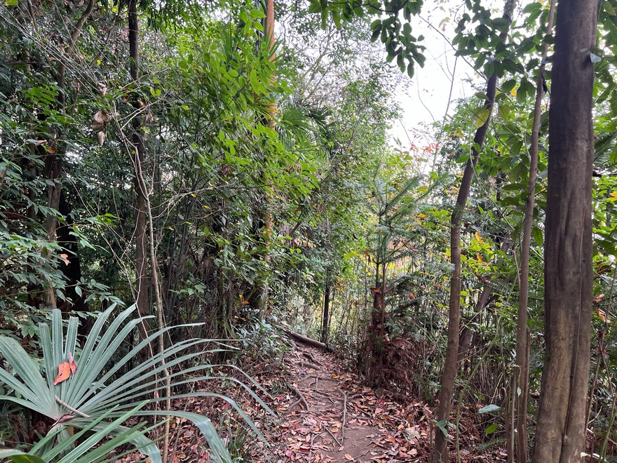 彭州狮子山～