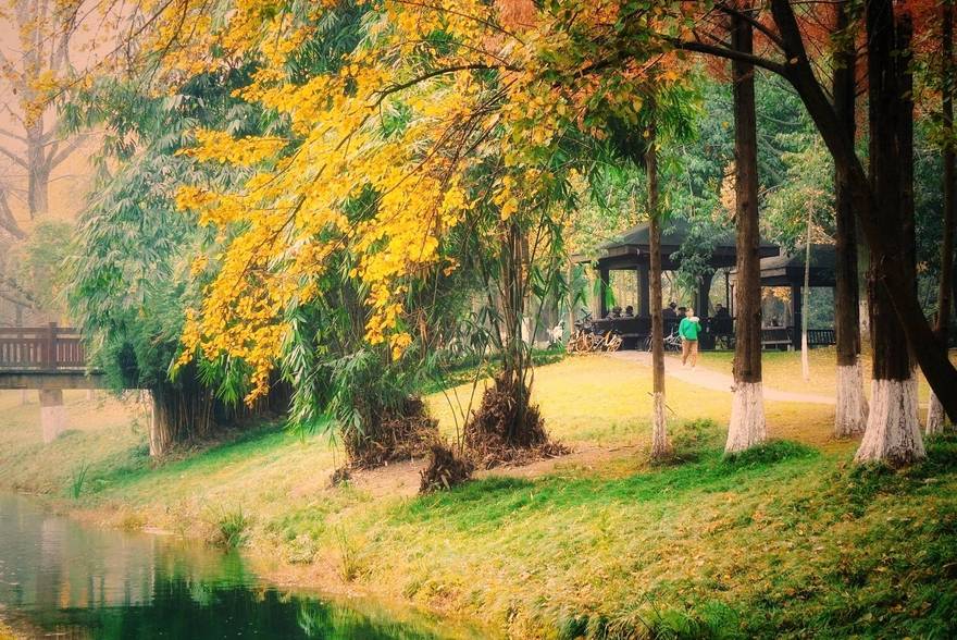 心中有景，处处皆是景