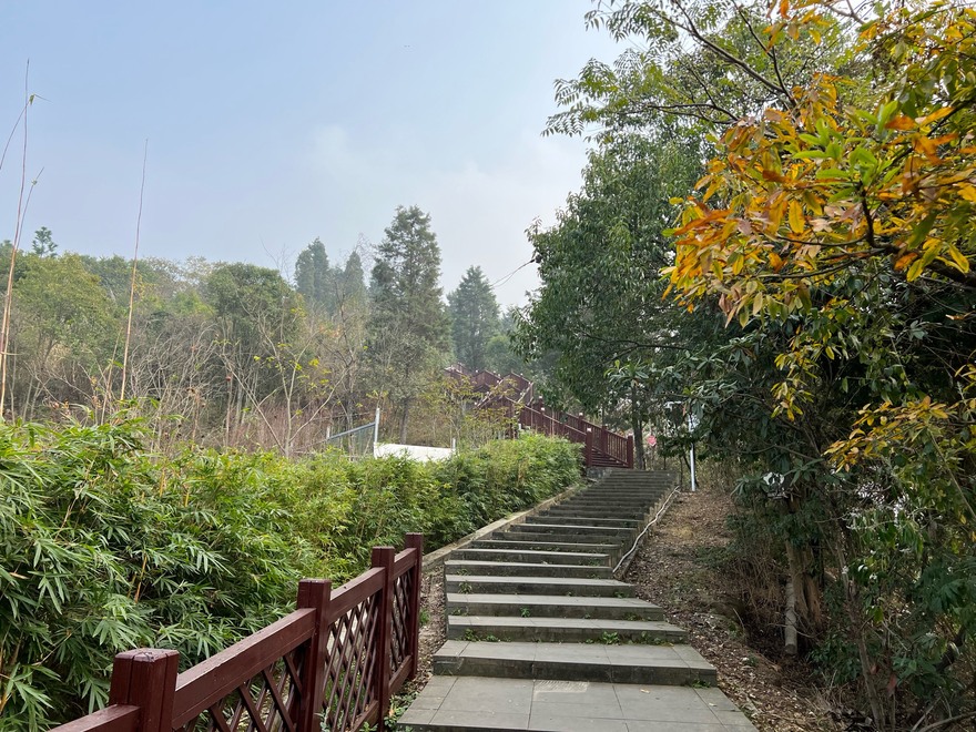 龙泉钟家山～