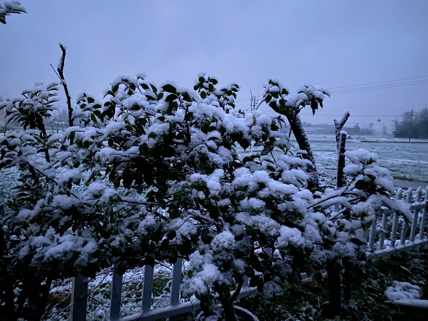 新都县下雪了