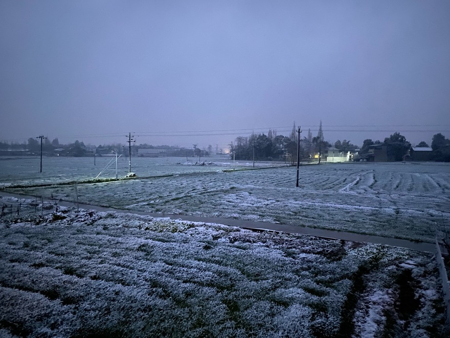 新都县下雪了