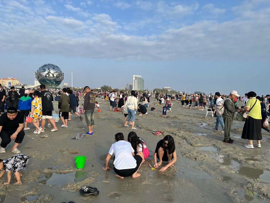 北海银滩的小沙蟹