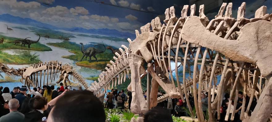 去了自贡恐龙博物馆后悔一天（人太多），不去，后悔一辈子