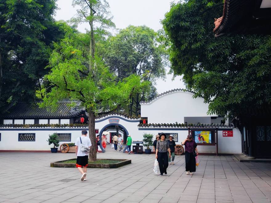 为荷而来