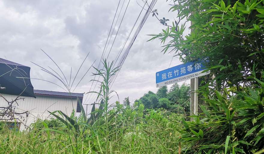 阴雨天，龙泉西河踏青