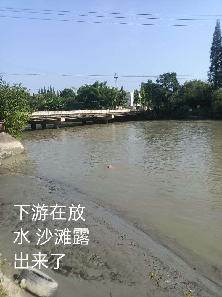 关于 早上去三道堰游泳  怼来怼去 上纲上线 
懒得回复 请出门转右  搬砖去了